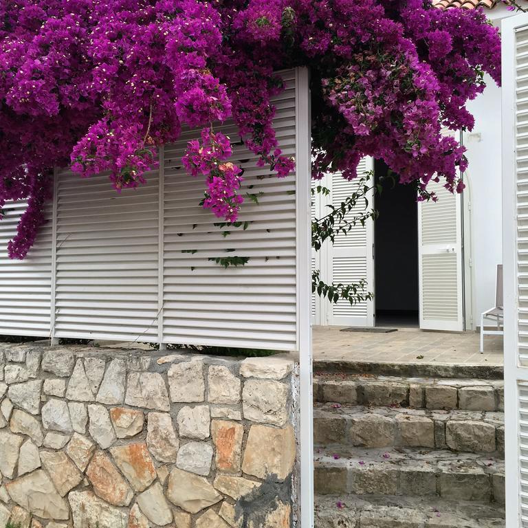 Le Case Di Ada Βίλα Santa Cesarea Terme Εξωτερικό φωτογραφία